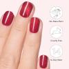 imageDashing Diva Glaze Nail Strip Duo  Glazed Collection  Strawberry Glaze ampamp Sangria Glaze  Long Lasting Chip Resistant SemiCured Gel Nail Strips  Contains 2 ColorsExpensive Taste