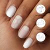 imageDashing Diva Glaze Nail Strip Duo  Glazed Collection  Strawberry Glaze ampamp Sangria Glaze  Long Lasting Chip Resistant SemiCured Gel Nail Strips  Contains 2 ColorsFloral Arrangements