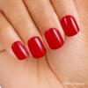 imageDashing Diva Magic Press Nail Bundle  Night ampamp Day Collection  Coffin Shape Press On Nails  After Hours ampamp Hollywoods Finest  Long Lasting Gel  Lasts Up to 7 Days  2 SetsThe White Chocolate Cherry Collection