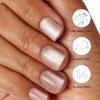 imageDashing Diva Magic Press Premium Nail Bundle  Fairytale Collection  Square Shape Press On Nails  Happily Ever After ampamp Tiki Hut  Long Lasting Gel Lasts Up to 7 Days  2 SetsThe Fairytale Collection