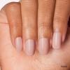 imageDashing Diva One Gel Color Duo  Pinks  Pointe ampamp Aristocrat  3in1 Base Coat Nail Color ampamp Top Coat  Gel Nail Polish Set  Contains 2 ColorsNeutrals