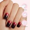 imageDashing Diva Glaze Nail Strip Set  Bunch Of Hocus Pocus  Long Lasting Chip Resistant SemiCured Gel Nail Strips  Halloween Gel Set  4Piece Manicure Kit with 32 StripsJust My Blood Type
