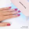 image:imageDashing Diva Glaze Nail Strip Set  Amsterdam Haze  Long Lasting Chip Resistant SemiCured Gel Nail Strips  Summer Gel Set  4Piece Manicure Kit with 32 StripsIts Fate